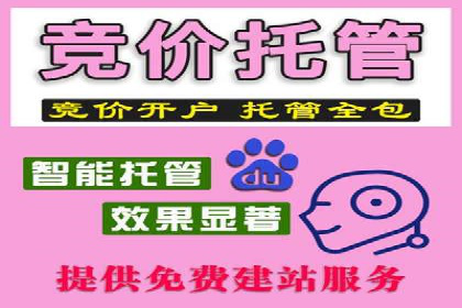 SEO与SEM优化案例：助力企业网站流量增长